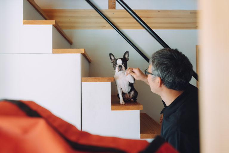 ウメちゃんもうすぐ2才